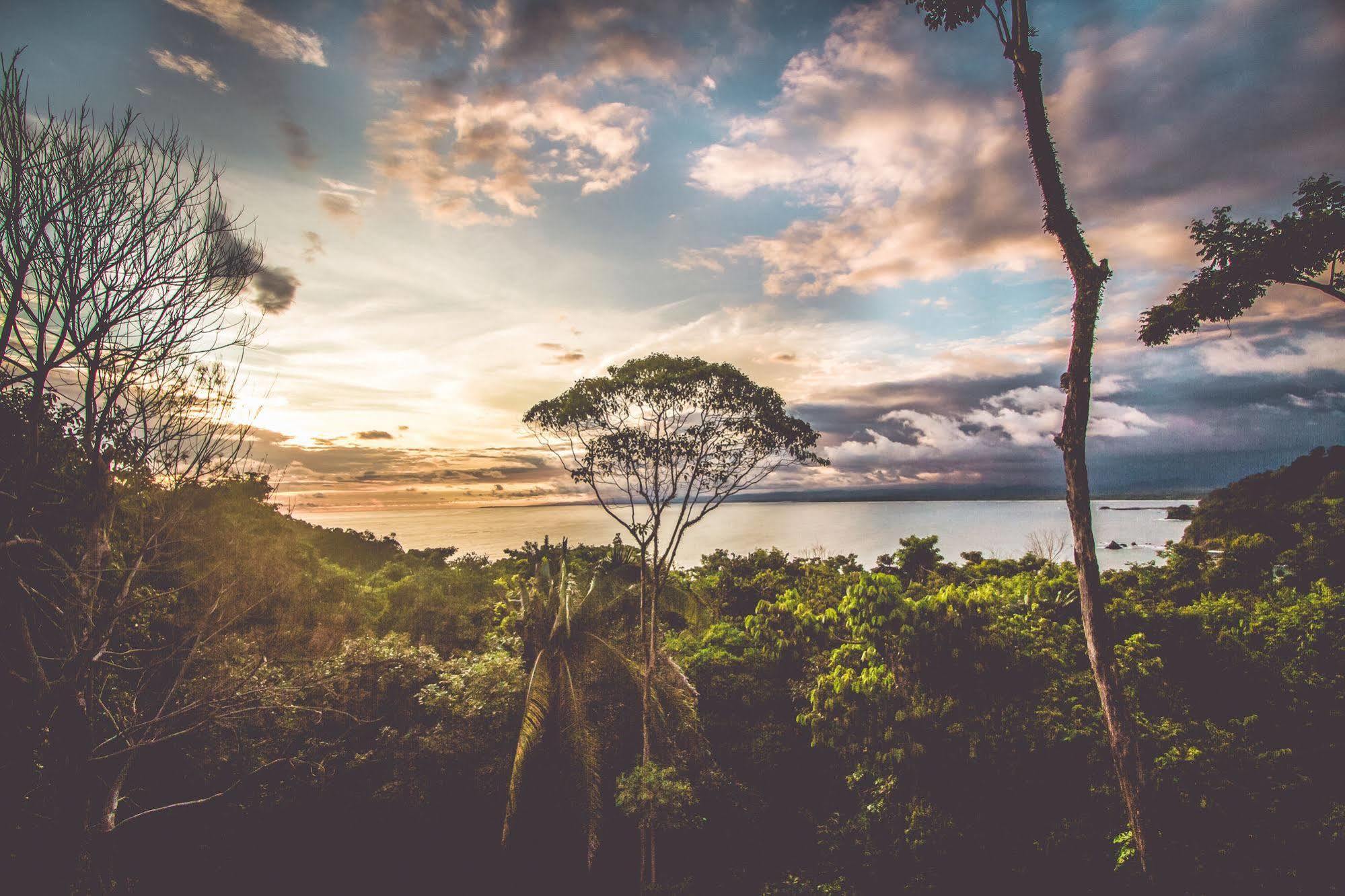 Issimo Suites Boutique Hotel & Spa - Adults Only Manuel Antonio Exteriör bild